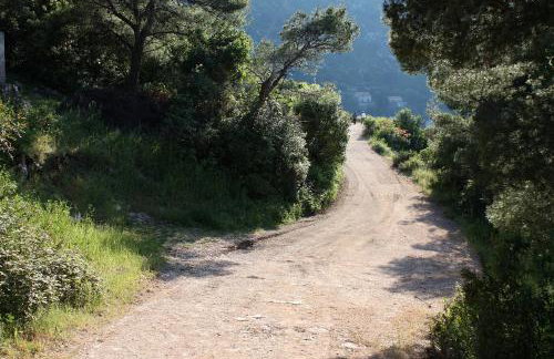 Apartments by the sea Prozurska Luka - Mljet - 617 - Foto 14