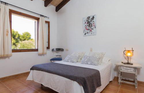 Alga Marina - Foto 15