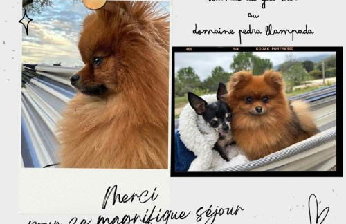 Domaine Pedra Llampada Gîtes Montagne - Photo 16