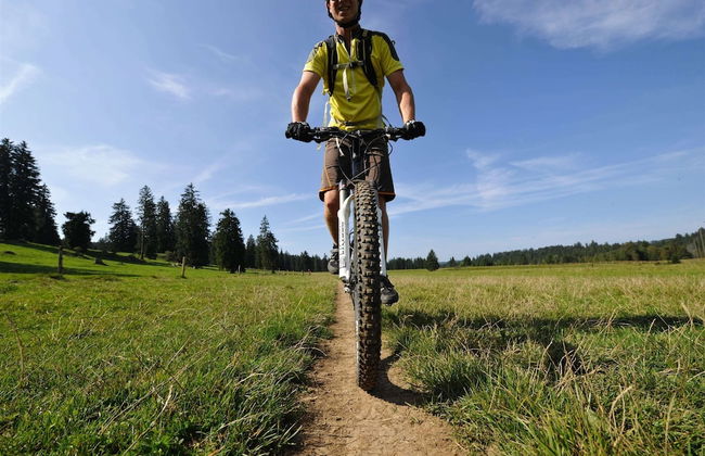 Serene Farmhouse in Habkern With Parking - Foto 34