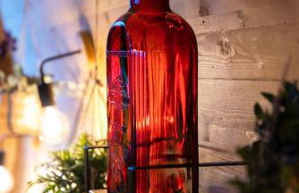 L'Oasis des Coccinelles - Foto 48