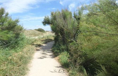 Domaine d'Annégré - Foto 28