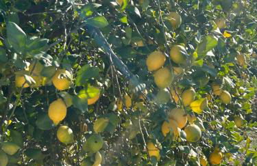 Sunny Apartment - Foto 24