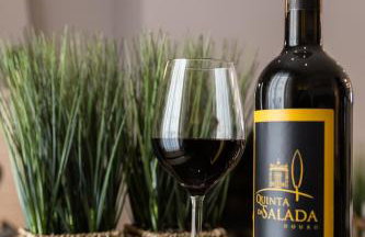 Quinta da Salada - Alojamento Local Douro - Foto 7