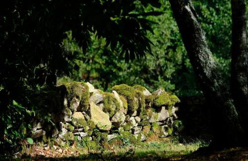 Beautifully located country house with heated pool - Foto 37