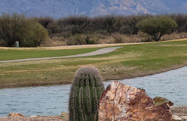 55 Plus 2-bedroom, 2-bathroom Townhouse in The Springs at Santa Rita - Foto 61