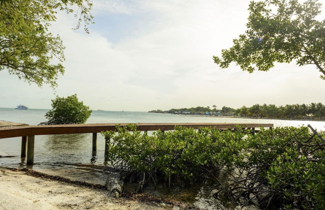 Entire Private Island For An Epic Group Vacation - Foto 67