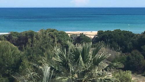 Mimosa Apartment - Foto 5