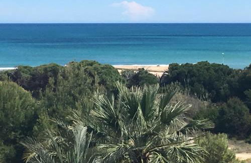 Mimosa Apartment - Foto 5