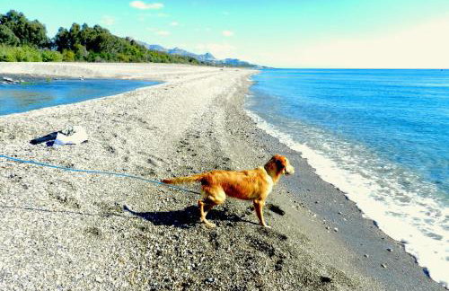 Casa La Vigna - Foto 33