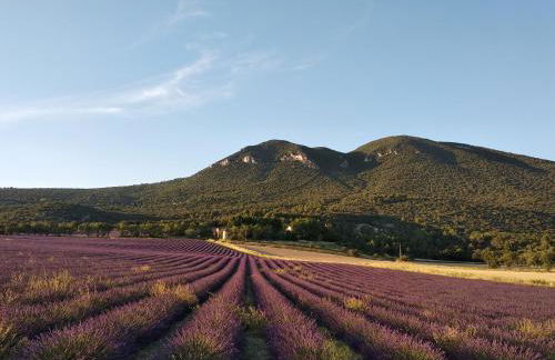 Maison de vacances avec piscine privative, Oustau des Oliviers vue dominante Colorado provençal - Foto 9