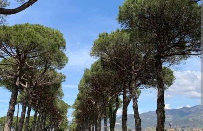 La Casa nel parco - Foto 23