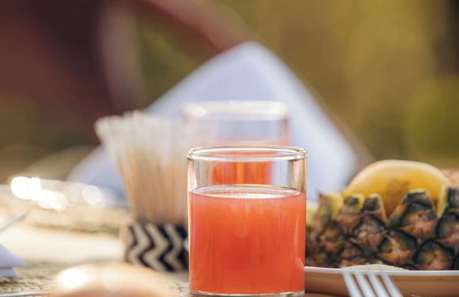 Tindiga Tented Camp - Foto 35