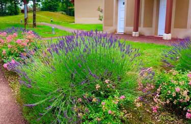 Appartement dans joli village de vacances 47150 - Foto 1