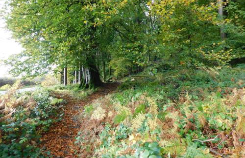 Red Dragon Cottages nr Mt Snowdon - Photo 69