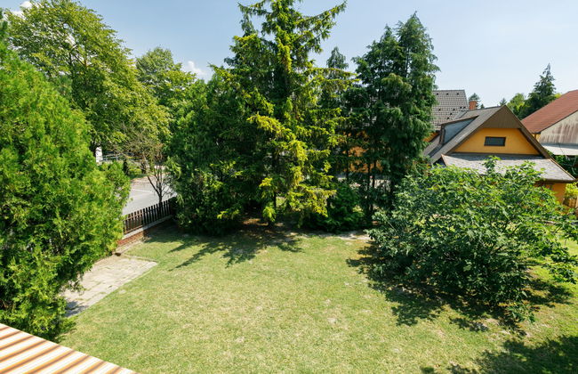 6 bedroom House in Balatonfenyves with garden and terrace - Photo 23