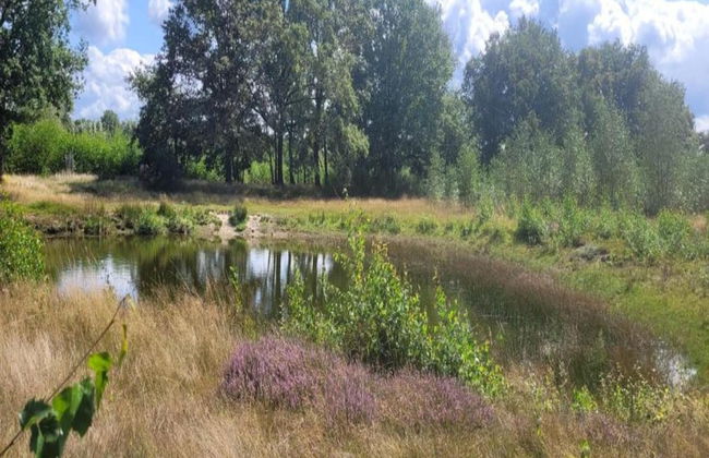 Bungalow With a Terrace at Bedafse Bergen - Photo 22