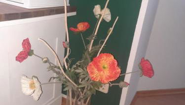 Fewo Lerchi am Nürburgring - Foto 4