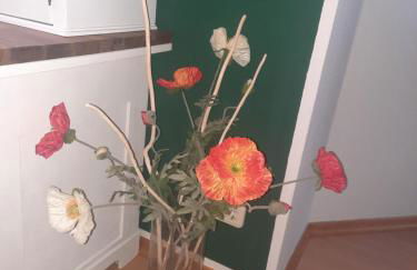 Fewo Lerchi am Nürburgring - Foto 4