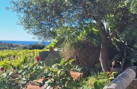 Masia St Salvador 1582 - Foto 11