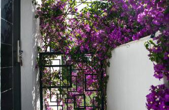 My Place Hvar - Foto 79
