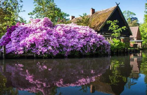 NEU Luxuriöses Tinyhaus Ferienhaus FREYR einmalig in Lübbenau - Foto 32