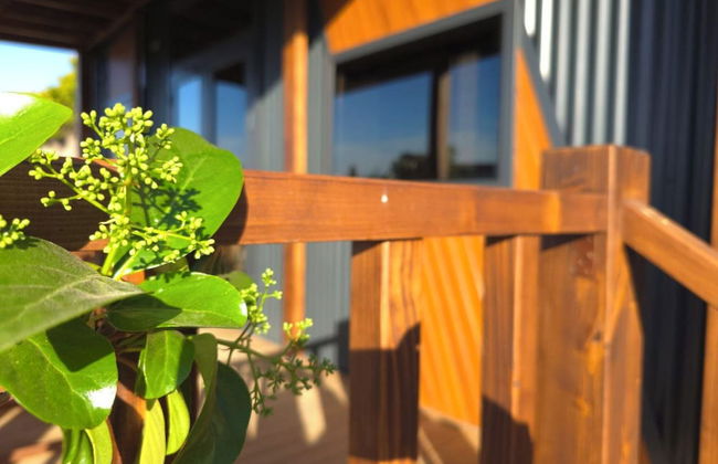 Garden House in Yalikavak - Foto 18