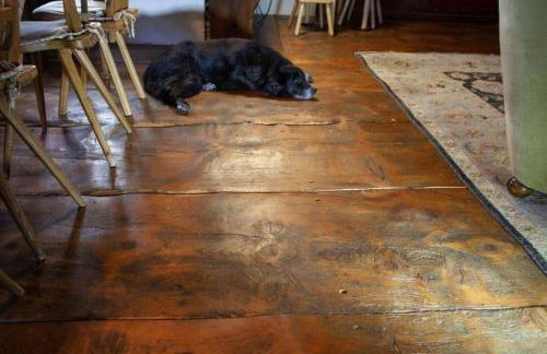 Historischer Vogtshof: eingezäunt | sonniger Garten | Kamin | Denkmalschutz - Foto 72