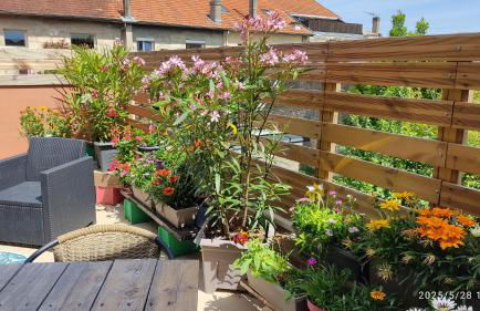 Les Bonbonieres d'Andrea Gavinies Pellegrin - Foto 36