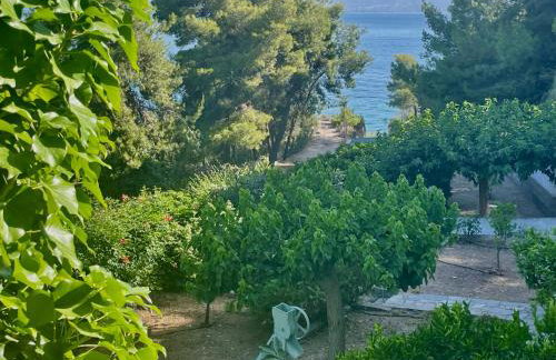 ILIOCHARI sea view apartments Oropos - Kalamos - Foto 53