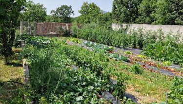 Charming village house with pool - Foto 3