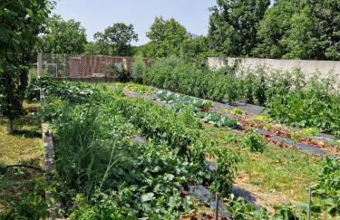 Charming village house with pool - Photo 3