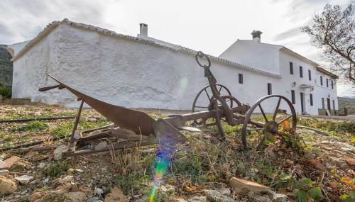 Cortijo Borreguero - Photo 1, Garden, Garden view