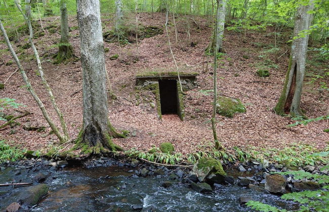 4 Star Holiday Home in Garsnas - Foto 9