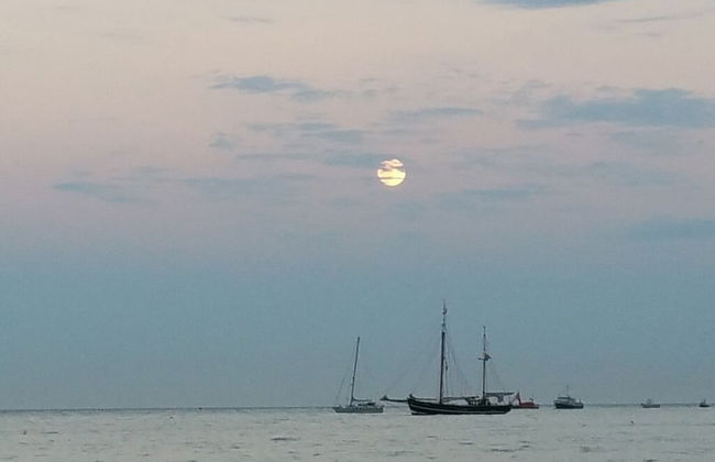 Beachcomber Holiday Apartments - Foto 33