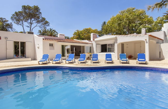 Villa AlGharif - Photo 54