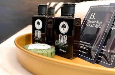 Maryland Luxury Downtown Manor - Foto 52