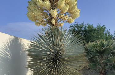 Cortijo Oro Verde B&B - Foto 35