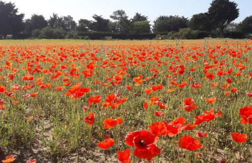 La Virginie - Suite Ile'Ô - Foto 19