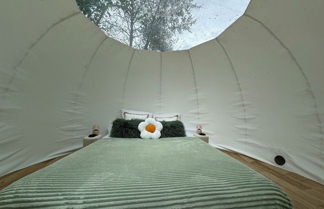 Au domaine du Pré Dieu - Foto 12