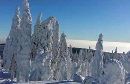 Ferienwohnung Familie Leupold - Foto 28