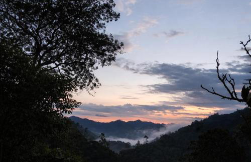 Casa de campos são Francisco Xavier Xavier - Foto 5