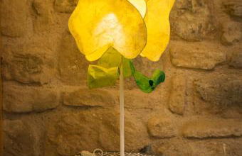 En BLANCO y TINTO - Foto 22