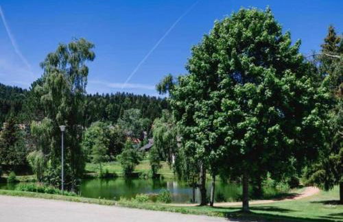 Ferienwohnung, Herrischried - Foto 27