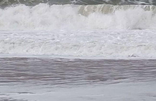 D Wilting in the House - Foto 17