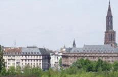 Le Carré des oiseaux - Foto 25