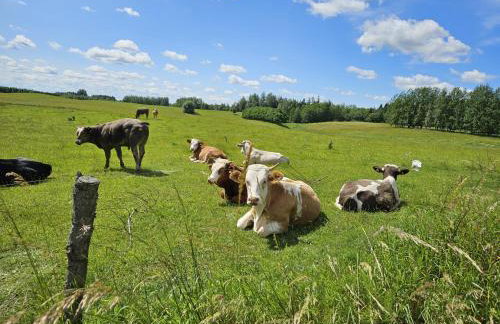 Siedlisko Mazury II - Foto 39