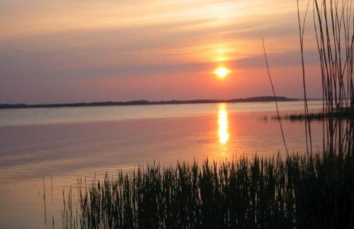 1-Zi Fewo Rankwitz,Usedom - Foto 20