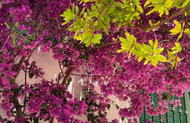 Cortijo Huerta Galindo - Foto 21