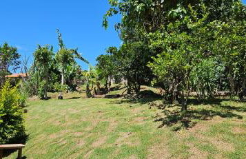 Chácara do Juscelino - Foto 23